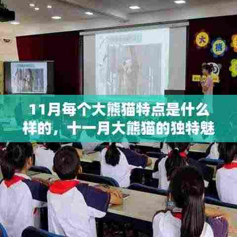 厂房环境 第365页