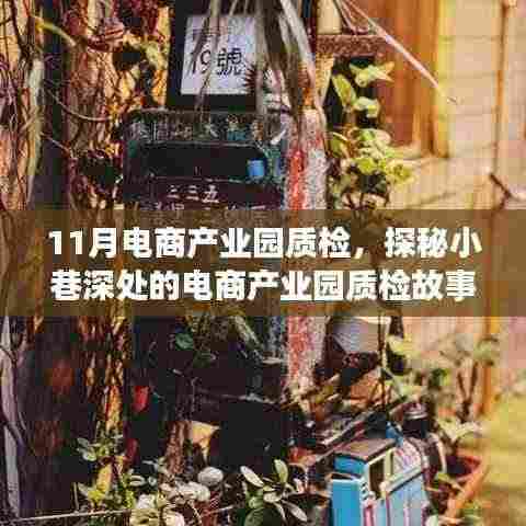 探秘电商产业园质检背后的故事,一家特色小店的非凡历程(11月电商产业园质检报道)