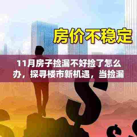如何应对十一月购房挑战，楼市新机遇探寻与捡漏策略调整