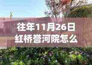 温馨红桥誉河院,友情与陪伴的十一月二十六日日常故事回顾