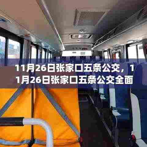 11月26日张家口五条公交线路全面评测与详细介绍