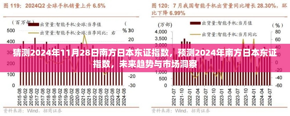 2024年南方日本东证指数预测,市场趋势洞察与未来走向