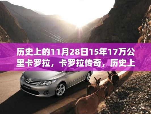 精雕细刻 第5页