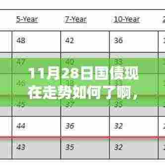 揭秘11月28日国债走势深度解析,市场新动向与走势预测背后的秘密。