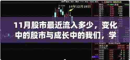 股市动态揭秘,成长与投资的奇妙旅程,学习自信与成就感的提升