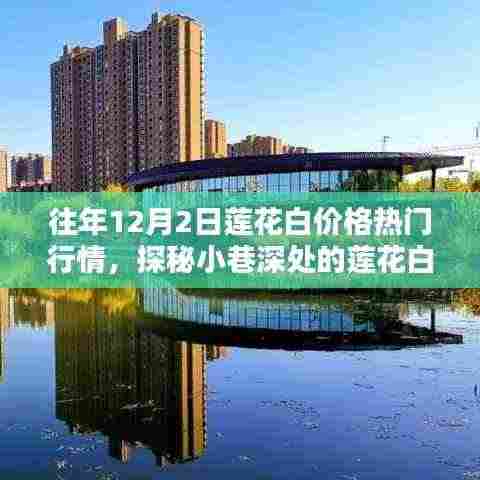 探秘莲花白宝藏，往年12月2日行情下的莲花白价格揭秘与热门行情分析