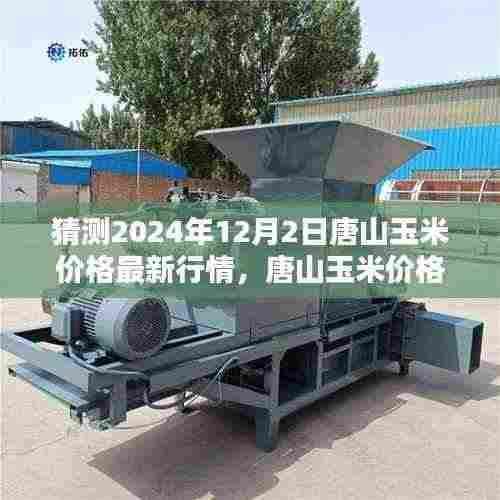 唐山玉米价格最新行情预测及分析(预测至2024年12月)