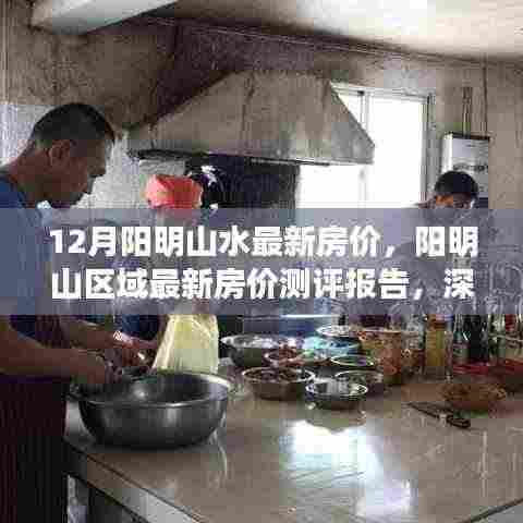 阳明山水最新房价测评报告,深度解析楼盘特性与优劣,十二月阳明山区域房价走势分析