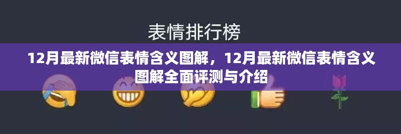 12月最新微信表情含义图解,全面评测与详细介绍