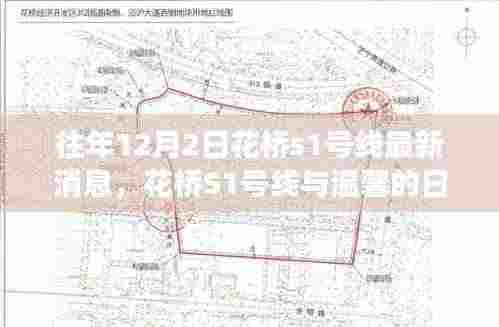 花桥S1号线,友情与陪伴的温馨日常趣事