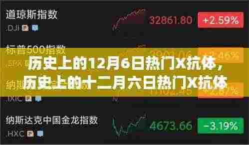 十二月六日热门X抗体深度解析与多方观点碰撞,历史与个人立场探讨