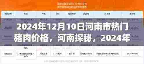 河南猪肉市场探秘,心灵之旅与价格微妙旅程的交织