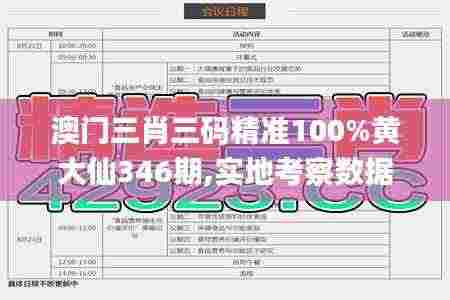 澳门三肖三码精准100%黄大仙346期,实地考察数据应用_QHD9.829