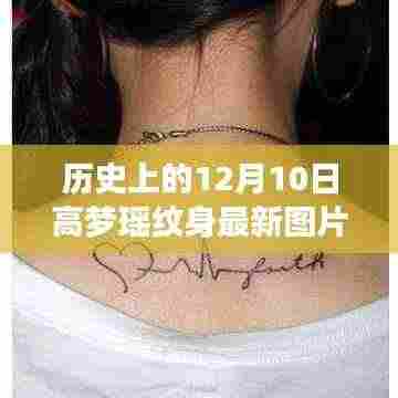 高梦瑶纹身最新图片深度解析,历史背景、产品特性与用户体验探讨