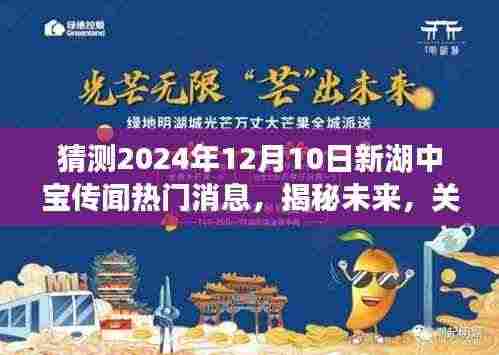 揭秘未来传闻,新湖中宝热门消息预测(2024年视角)