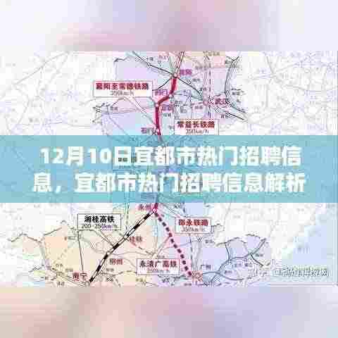 宜都市最新热门招聘信息解析，聚焦最新职业机遇