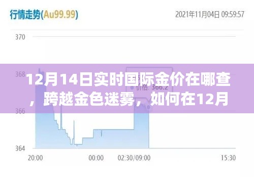 揭秘实时国际金价,探寻黄金价值,激发学习与成长之旅(12月14日版)