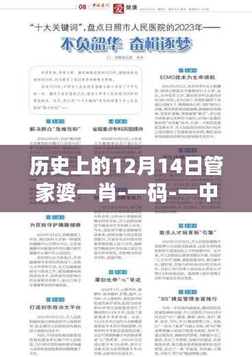 历史上的12月14日管家婆一肖-一码-一中:肖一码的智慧与一中的力量