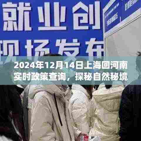 上海返乡之旅，探秘自然秘境，了解实时政策，静享从上海到河南的旅程