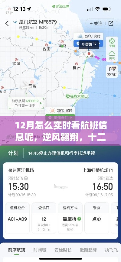 实时掌握航班信息,十二月逆风翱翔,学习变化提升自信与成就感