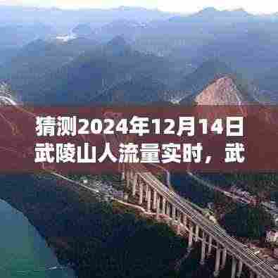揭秘武陵山风景区,2024年12月14日人潮涌动实时揭秘