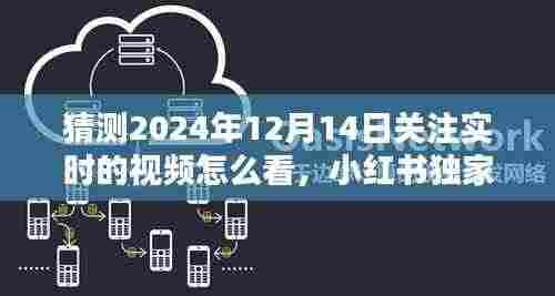 小红书揭秘,如何实时掌握未来热门视频动态,关注猜测未来视频趋势——以猜测2024年热门视频为例