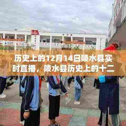 陵水县历史直播日，穿越时空的十二月十四日实时直播纪实