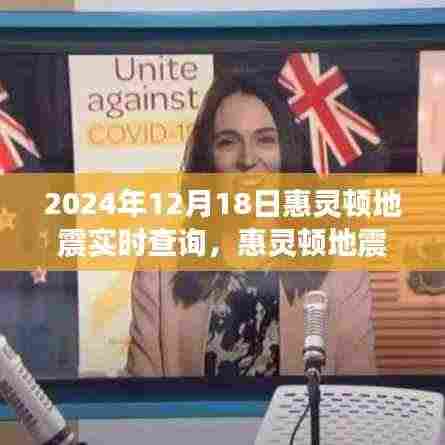 惠灵顿地震中的温情与冒险,一场突如其来的友情之旅(实时查询)