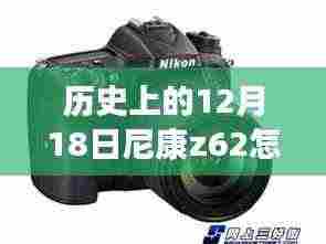 尼康Z6 II相机实时显示功能开启教程,历史时刻的见证者