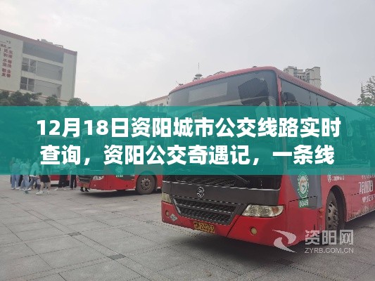 资阳公交奇遇记,温情陪伴的时光——12月18日资阳城市公交线路实时查询