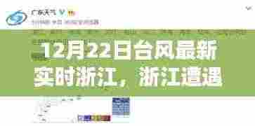 浙江遭遇猛烈台风袭击,最新实时动态与深远影响(12月22日更新)