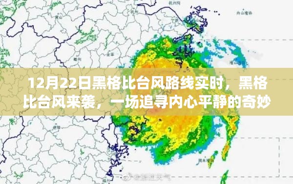 黑格比台风来袭,追寻内心平静的旅程实时报道