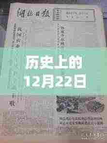 历史上的12月22日粮食产量实时洞察,探寻丰收的足迹与2022年粮食产量分析