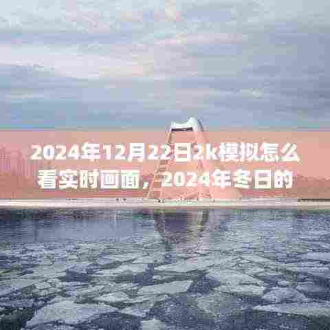 2024年模拟游戏时光，探索实时画面与冬日奇妙之旅
