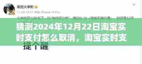 淘宝实时支付取消功能预测，操作指南、功能详解与未来展望（猜测至2024年12月）