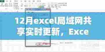 Excel局域网共享实时更新操作指南,从初学者到进阶用户的实用指南
