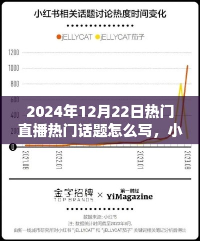 揭秘2024年小红书直播盛典热门话题攻略,直播热门话题一网打尽