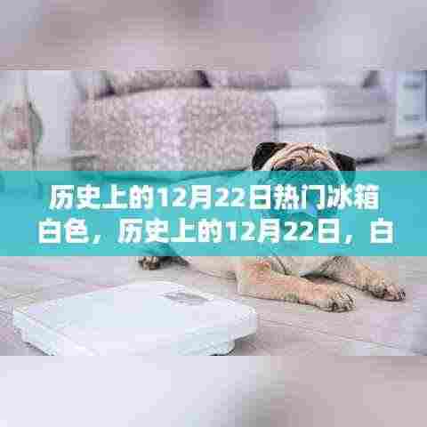 历史上的12月22日，白色冰箱的热潮及其影响回顾