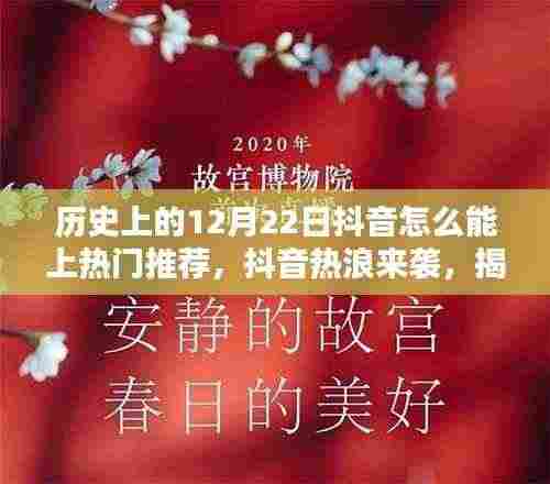 揭秘十二月二十二日抖音热门传奇,历史背后的成功秘诀与热浪来袭的启示