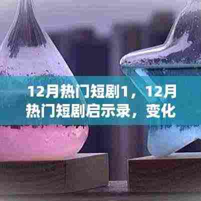 12月热门短剧启示录,变化中的学习与自信成就之旅