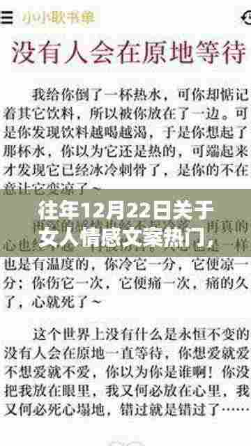 历年十二月二十二日女性情感文案深度解读，探寻背后的意义与争议