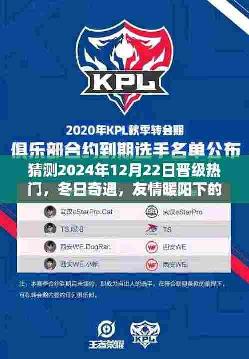 友情暖阳下的冬日奇遇,晋级狂欢倒计时开启,预测2024年12月22日热门时刻