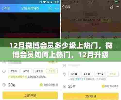 揭秘微博会员上热门秘诀,12月升级攻略与会员等级影响力分析