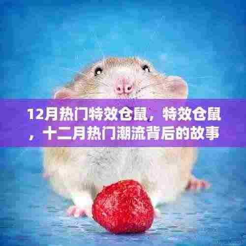 揭秘十二月热门特效仓鼠背后的故事