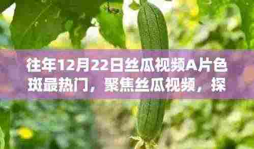 警惕!丝瓜视频内容与热度的双刃剑效应,聚焦色斑话题的争议与反思