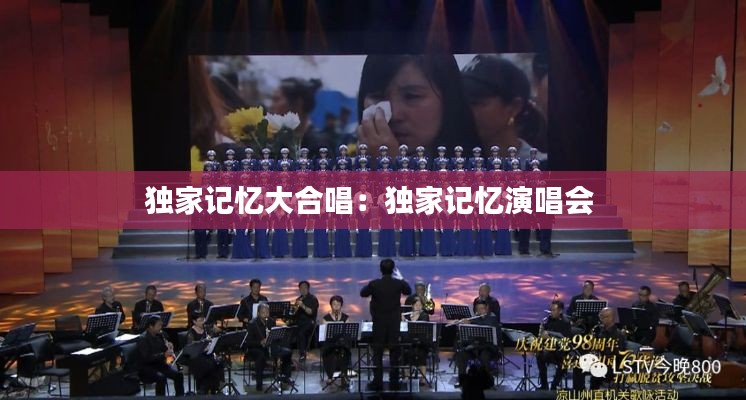 独家记忆大合唱：独家记忆演唱会 