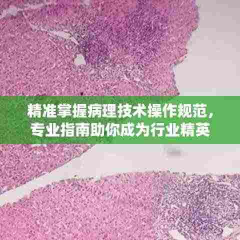 精准掌握病理技术操作规范,专业指南助你成为行业精英