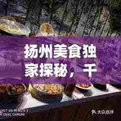 扬州美食独家探秘,千年古城的美食精粹之旅
