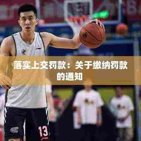 落实上交罚款：关于缴纳罚款的通知 