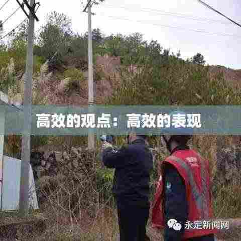 高效的观点:高效的表现